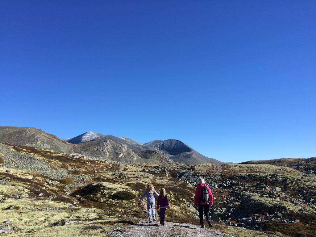 Smuksjoseter Fjellstue Hotell Høvringen Exteriör bild